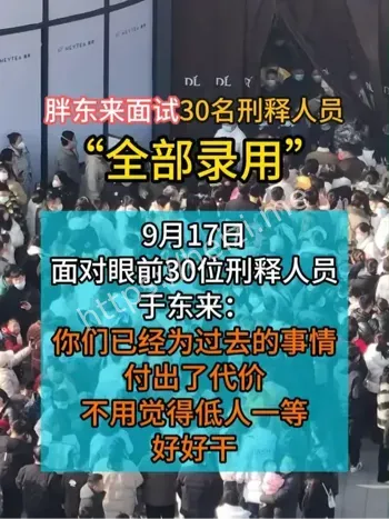 包容性就业实践