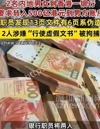 欲转账500亿被抓